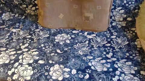 Snapshot of new_milf chatting on 1, 2, 2025 Lilly online show from 1, 2, 2025