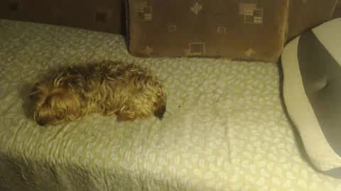 Snapshot of new_milf chatting on 22, 10, 2025 Lilly online show from 22, 10, 2025