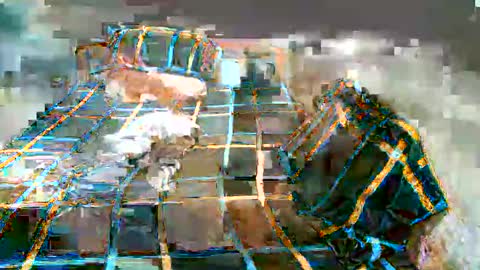 Snapshot of newest_star69 chatting on 7, 1, 2025 Lucy Pearl online show from 7, 1, 2025