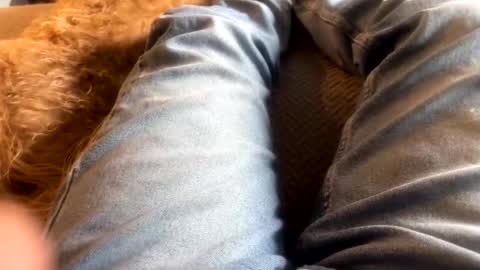 Snapshot of newjerseyhorny chatting on 15, 12, 2024 newjerseyhorny online show from 15, 12, 2024