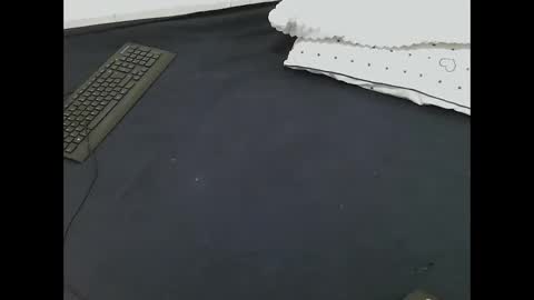 nia_0 online show from 16, 3, 2026