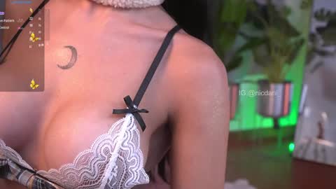 Snapshot of nicdani_1 chatting on 26, 12, 2024 Dani 3 online show from 26, 12, 2024