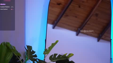 Snapshot of nicdani_1 chatting on 18, 1, 2025 Dani 3 online show from 18, 1, 2025