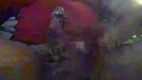 nice_cock8080 online show from 12, 1, 2026