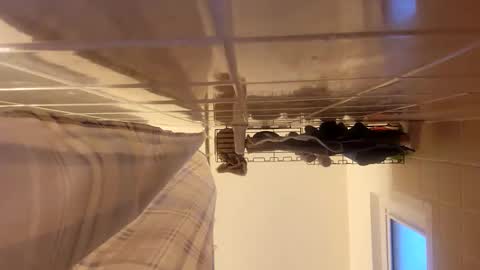 nicholasweber21 online show from 10, 4, 2026