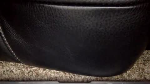 Snapshot of nick12989 chatting on 17, 12, 2025 nick12989 online show from 17, 12, 2025