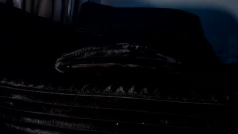 Cakedcouple  OF - Yourtattedcutie  qurlynfit online show from 21, 9, 2025