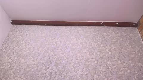 Snapshot of nicol_ferrer chatting on 27, 12, 2024 Nicol online show from 27, 12, 2024