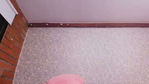 Snapshot of nicol_ferrer chatting on 31, 12, 2024 Nicol online show from 31, 12, 2024