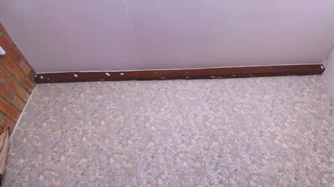 Snapshot of nicol_ferrer chatting on 11, 1, 2025 Nicol online show from 11, 1, 2025