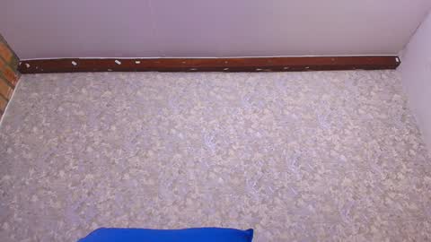 Snapshot of nicol_ferrer chatting on 13, 1, 2025 Nicol online show from 13, 1, 2025