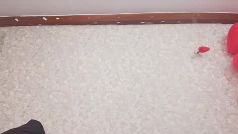 Snapshot of nicol_ferrer chatting on 15, 2, 2025 Nicol online show from 15, 2, 2025