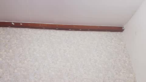 Snapshot of nicol_ferrer chatting on 3, 3, 2025 Nicol online show from 3, 3, 2025