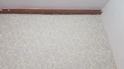 Snapshot of nicol_ferrer chatting on 8, 3, 2025 Nicol online show from 8, 3, 2025