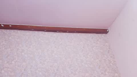 Snapshot of nicol_ferrer chatting on 10, 3, 2025 Nicol online show from 10, 3, 2025