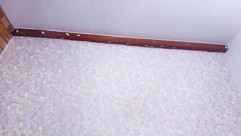 Snapshot of nicol_ferrer chatting on 21, 11, 2025 Nicol online show from 21, 11, 2025