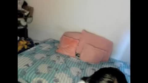 Nicole jaymes online show from 15, 2, 2026