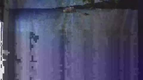 OHB Old Horny Bastard online show from 13, 1, 2025