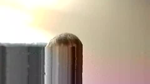 nightnightlol online show from 8, 12, 2024