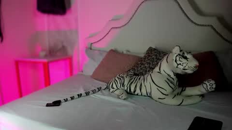 Snapshot of niicole_garnerr chatting on 5, 2, 2026 nicole online show from 5, 2, 2026