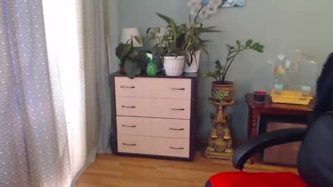 Nika online show from 2, 2, 2025