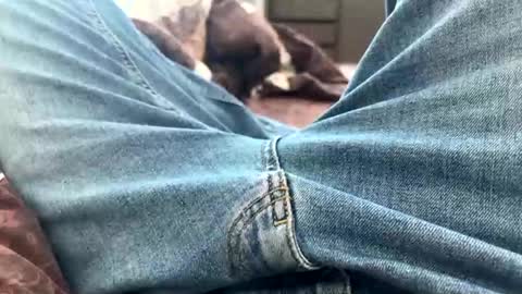 Snapshot of nikk3032 chatting on 25, 2, 2025 NIk online show from 25, 2, 2025