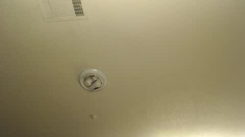 Nikki Mastersgirl1091 online show from 19, 3, 2026