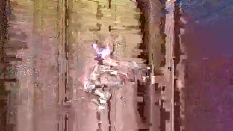 nikolaneedsex56 online show from 10, 9, 2025