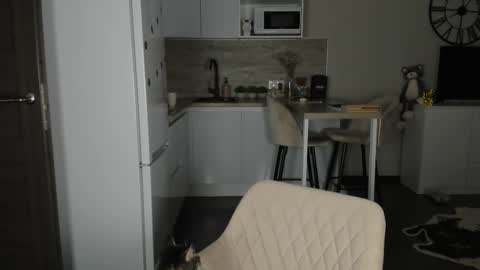 Bella online show from 21, 2, 2026