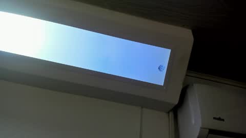 Nina  online show from 12, 4, 2026