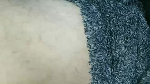 nineinchhard online show from 15, 3, 2026