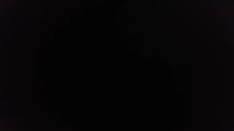 Ninjadance online show from 2, 1, 2025