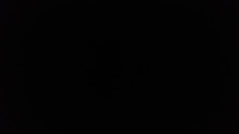 Ninjadance online show from 4, 3, 2025