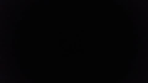 Ninjadance online show from 8, 3, 2025