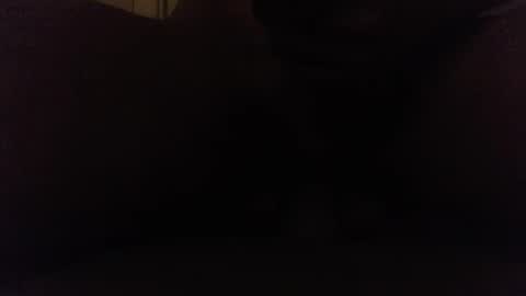 Ninjadance online show from 8, 10, 2025