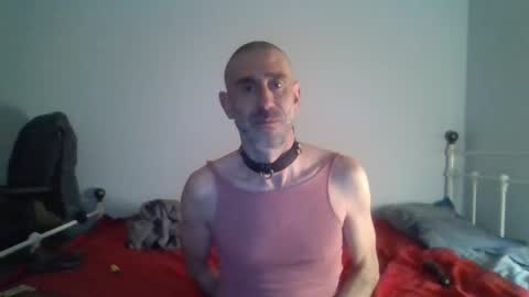 Snapshot of nirevess chatting on 9, 12, 2024 nirevess online show from 9, 12, 2024