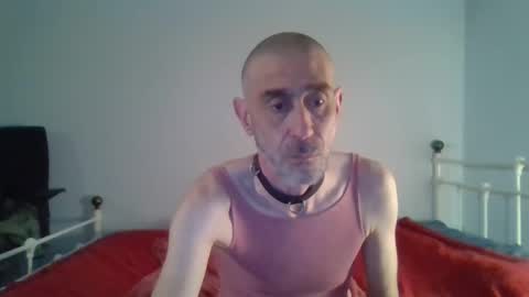 Snapshot of nirevess chatting on 1, 1, 2025 nirevess online show from 1, 1, 2025