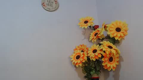 Noah Millers online show from 6, 1, 2025