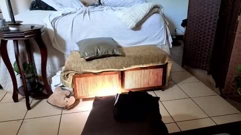 nobudget06 online show from 16, 2, 2025