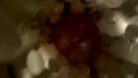 Snapshot of nocturnusfuz chatting on 30, 1, 2025 nocturnusfuz online show from 30, 1, 2025