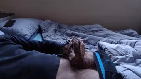 noksha online show from 19, 1, 2025