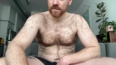 Snapshot of noplann chatting on 22, 2, 2025 No Plan online show from 22, 2, 2025