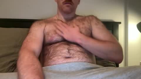 Snapshot of noplann chatting on 2, 12, 2025 No Plan online show from 2, 12, 2025