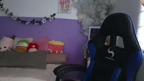 NORTH online show from 26, 12, 2024