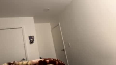 se le perdio algo perra hp online show from 6, 12, 2024