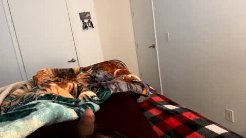 se le perdio algo perra hp online show from 2, 1, 2025