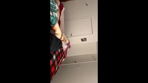 se le perdio algo perra hp online show from 10, 1, 2025