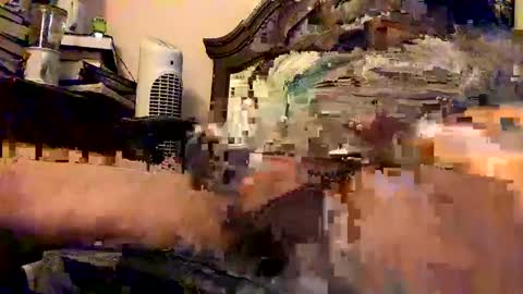 nothingclever1003 online show from 16, 1, 2025