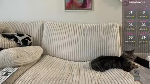 Snapshot of noturbabymoms chatting on 24, 12, 2024 NotUrBabyMoms online show from 24, 12, 2024