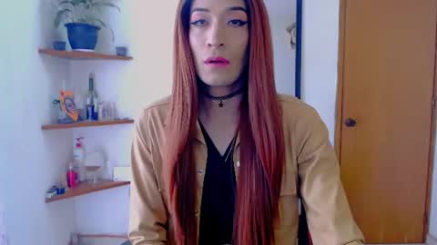 Nova...  online show from 24, 6, 2026